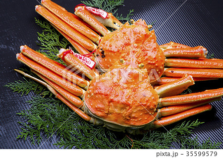 ズワイガニ　食材 35599579