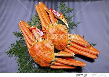 ズワイガニ　食材 35599580