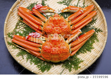ズワイガニ　食材 35599596
