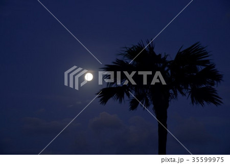 奄美　大浜海浜公園の月の入り04 35599975