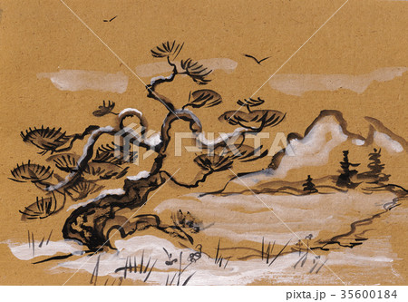 Pine in winter 35600184