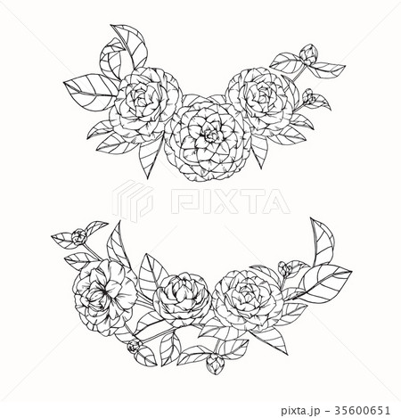 Camellia Contour Drawing Tea Flower Flower Stock Vector (Royalty Free)  1396748534