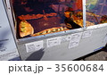 フィンランド・ヘルシンキの屋台料理 35600684