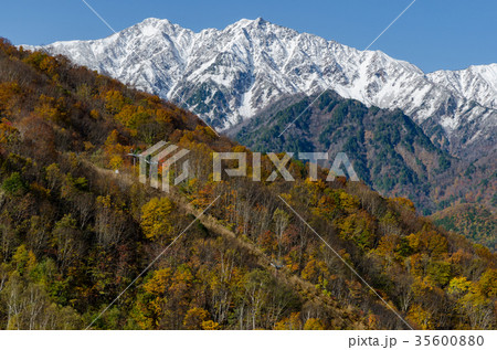 信州の風景　紅葉と北アルプス　 35600880