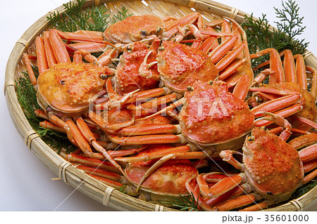 ズワイガニのメス 食材 ズワイガニのメス 食材 35601000