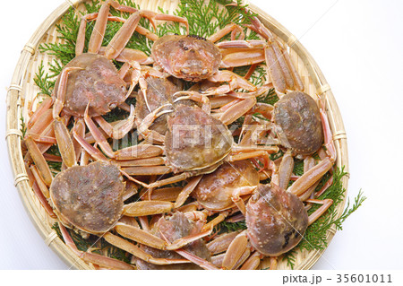 ズワイガニのメス 食材 ズワイガニのメス 食材 35601011