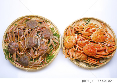 ズワイガニのメス 食材 ズワイガニのメス 食材 35601021