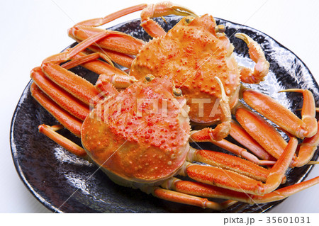 ズワイガニのメス 食材 ズワイガニのメス 食材 35601031