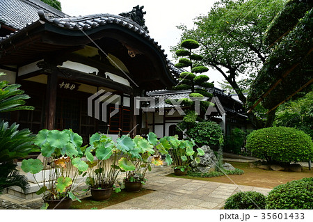 稲付城03 35601433