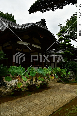 稲付城04 35601435