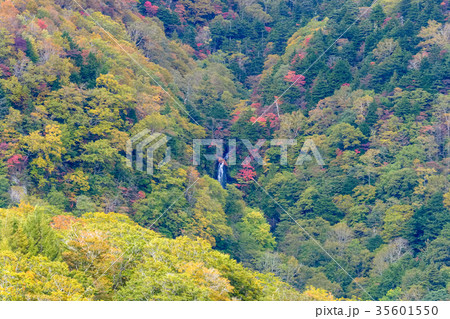 紅葉の天風境幕滝 35601550