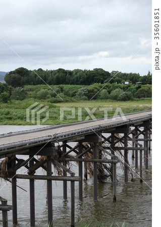流れ橋　久御山町側（京都府八幡市） 35601851