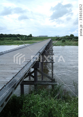 流れ橋　久御山町側（京都府八幡市） 35601852