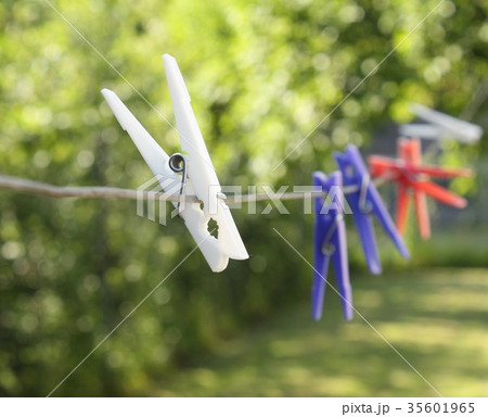 clothes pin clothes pin 35601965