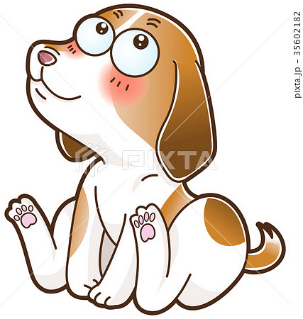 夢見るいぬ 35602182