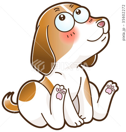 夢見るいぬ 35602272