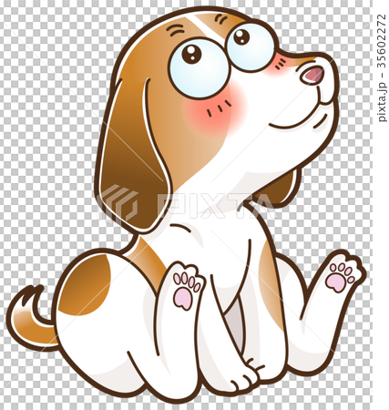 夢見るいぬ 35602272