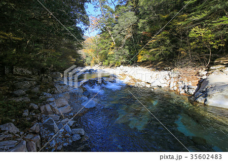 愛媛県久万高原町 面河渓 紅葉河原 愛媛県久万高原町 面河渓 紅葉河原 35602483