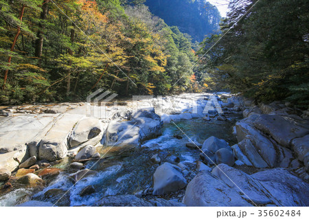 愛媛県久万高原町　面河渓　紅葉河原 35602484