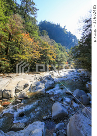 愛媛県久万高原町 面河渓 紅葉河原 愛媛県久万高原町 面河渓 紅葉河原 35602485