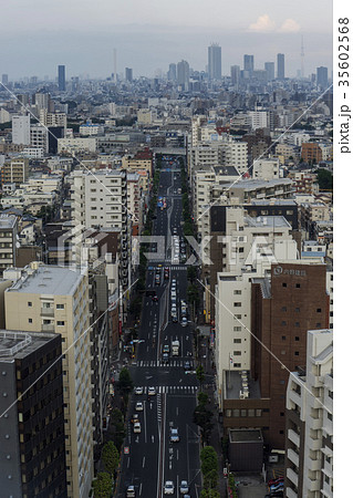 目白通り 目白通り 35602568