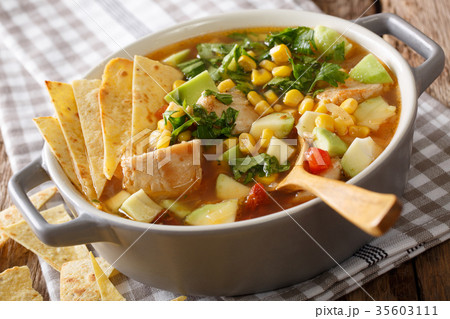 spicy tortilla soup with chicken, cilantro, tomato 35603111