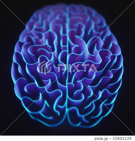 Closed Brain Maze 35603226