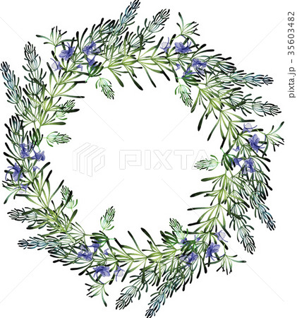 Watercolor rosemary wreath. 35603482