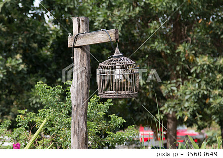 Beautiful old lamp, birdcage lamp 35603649