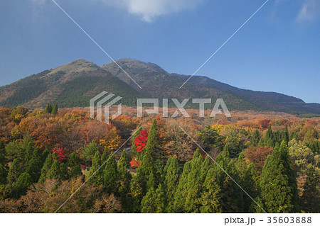 金剛宝寺と猟師山の紅葉 金剛宝寺と猟師山の紅葉 35603888