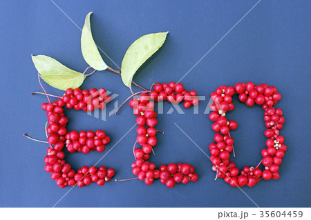 word Eco from red ripe berries of schisandra 35604459