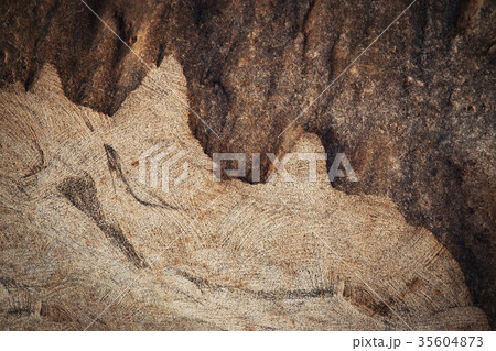 abstract detail of cut sandstone 35604873