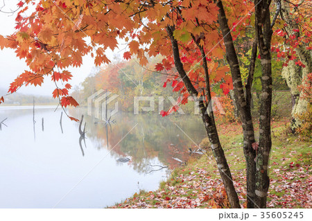 女神湖 女神湖 35605245