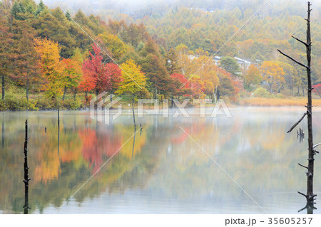 女神湖 女神湖 35605257