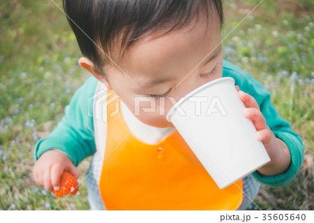 1 year old 1 year old 35605640