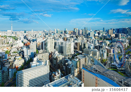 東京スカイツリーとビル群 青空 東京スカイツリーとビル群 青空 35606437