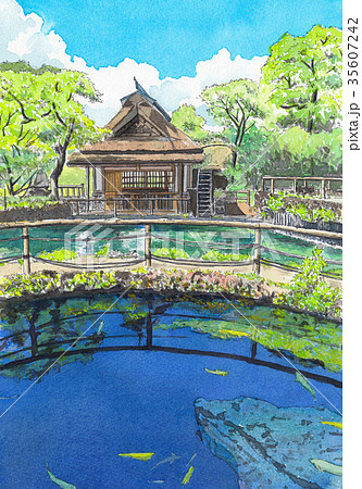 水彩画　忍野八海 35607242