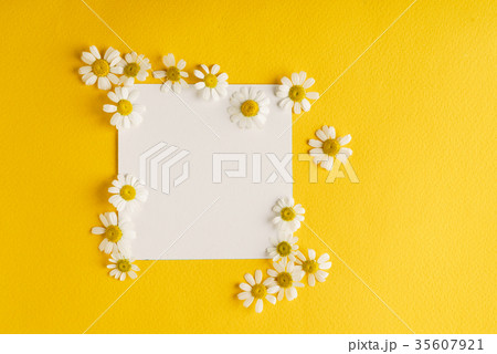 daisy flowers on the paper card daisy flowers on the paper card 35607921