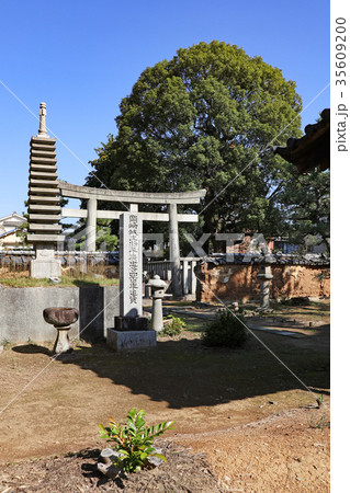 松應寺、松平広忠公御廟所（愛知県岡崎市） 35609200