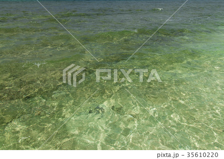 黒島 (沖縄県竹富町)の風景 35610220