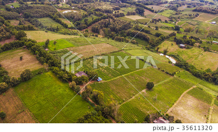 An aerial view of Agricultural area An aerial view of Agricultural area 35611320