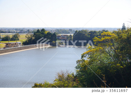 秋の雄蛇が池　千葉県東金市　紅葉 35611697
