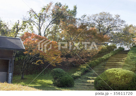 石川県森林公園 35611720
