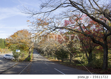 石川県森林公園 35611722
