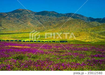 花園と貨物列車 35612580