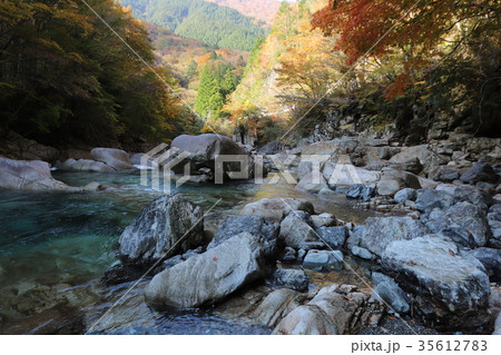 天川村　川迫川の紅葉 35612783
