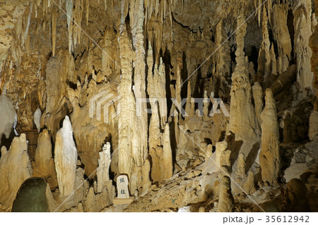 【おきなわワールド 玉泉洞】 沖縄県南城市玉城前川1336 【おきなわワールド 玉泉洞】 沖縄県南城市玉城前川1336 35612942