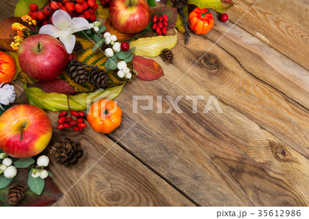 Fall background apple, snowberry and white flower Fall background apple, snowberry and white flower 35612986