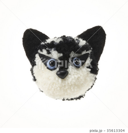 ポンポン犬(バック飛ばし) シベリアンハスキー ポンポン犬(バック飛ばし) シベリアンハスキー 35613304