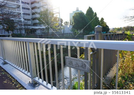 いたち川　城山橋 35613341